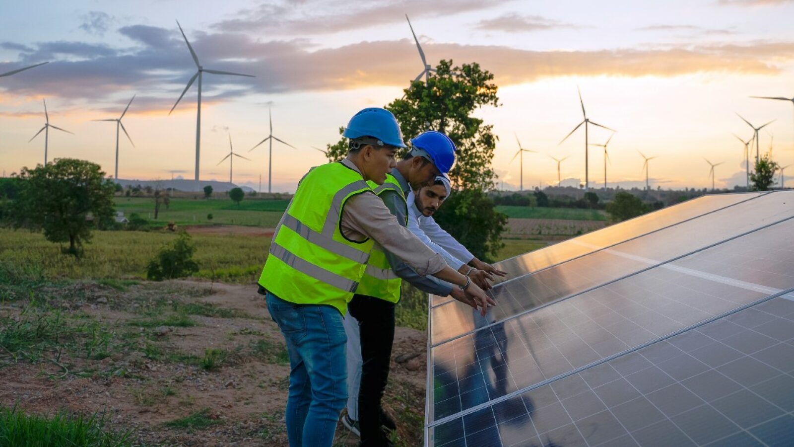 Green Jobs & Skills per il futuro sostenibile del lavoro